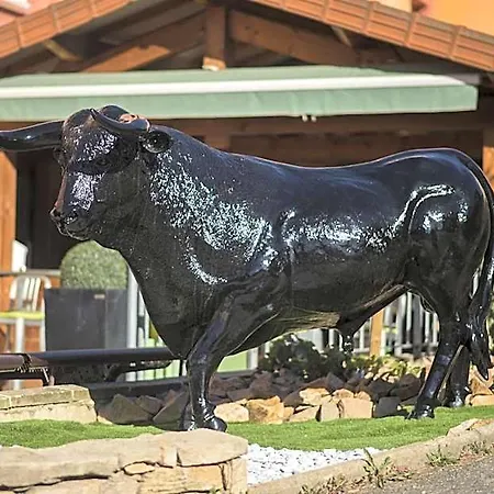 Burnichon