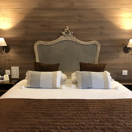 Hotel Burnichon 2* Tarare